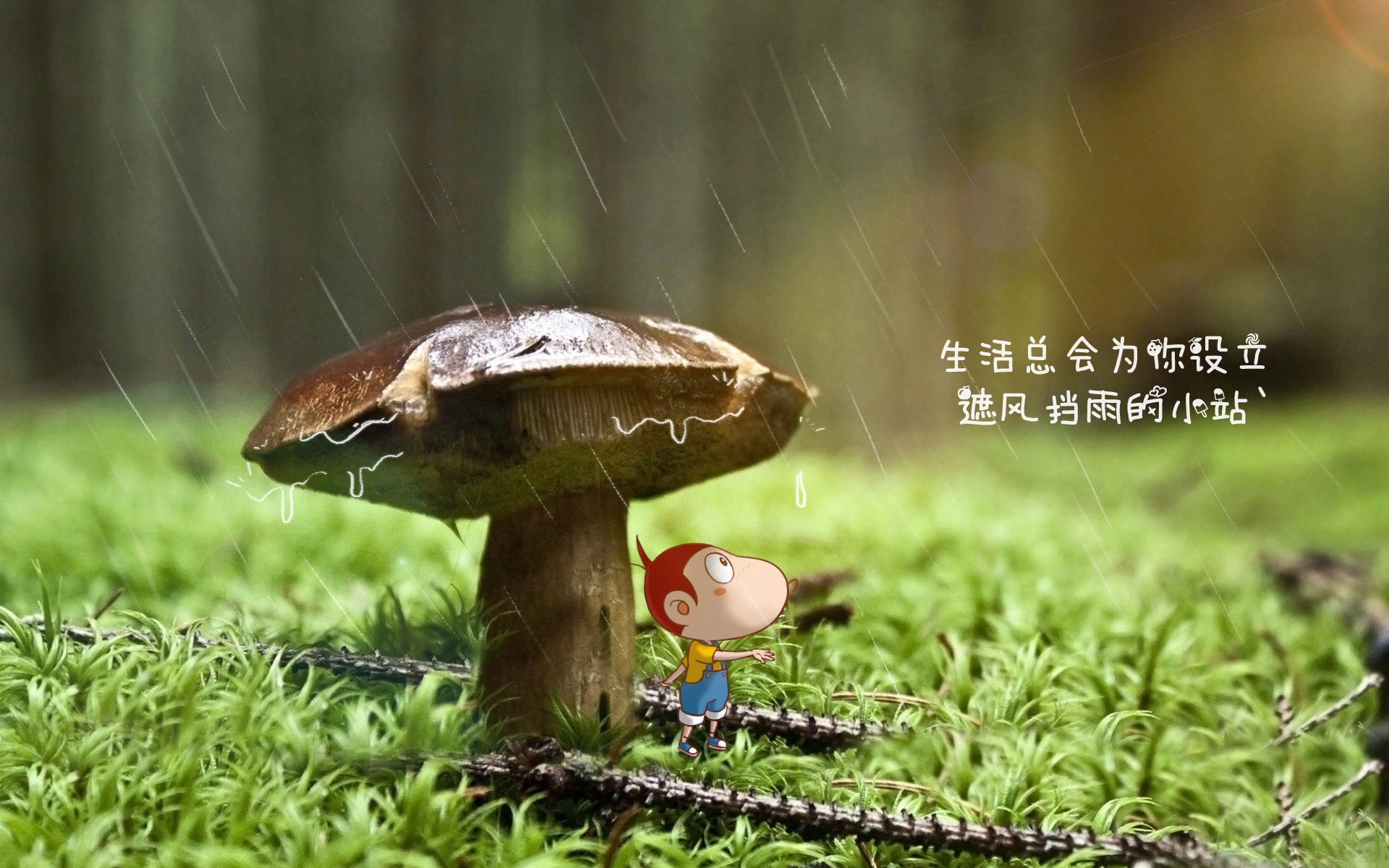 德甲焦点：冠军悬念加剧，拜仁还能稳居头把交椅？，拜仁几次德甲冠军