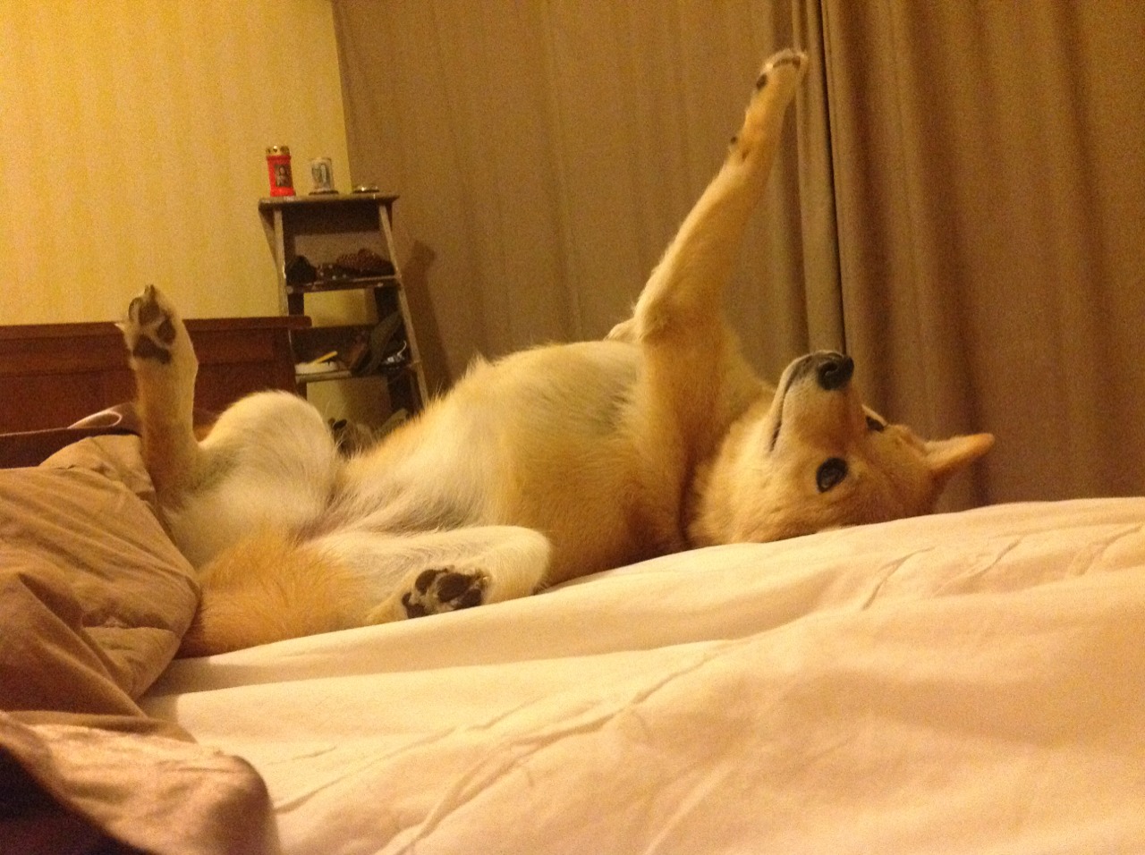 五大联赛是否通过降低节奏冲击力提升比赛控制感,五大联赛激烈程度