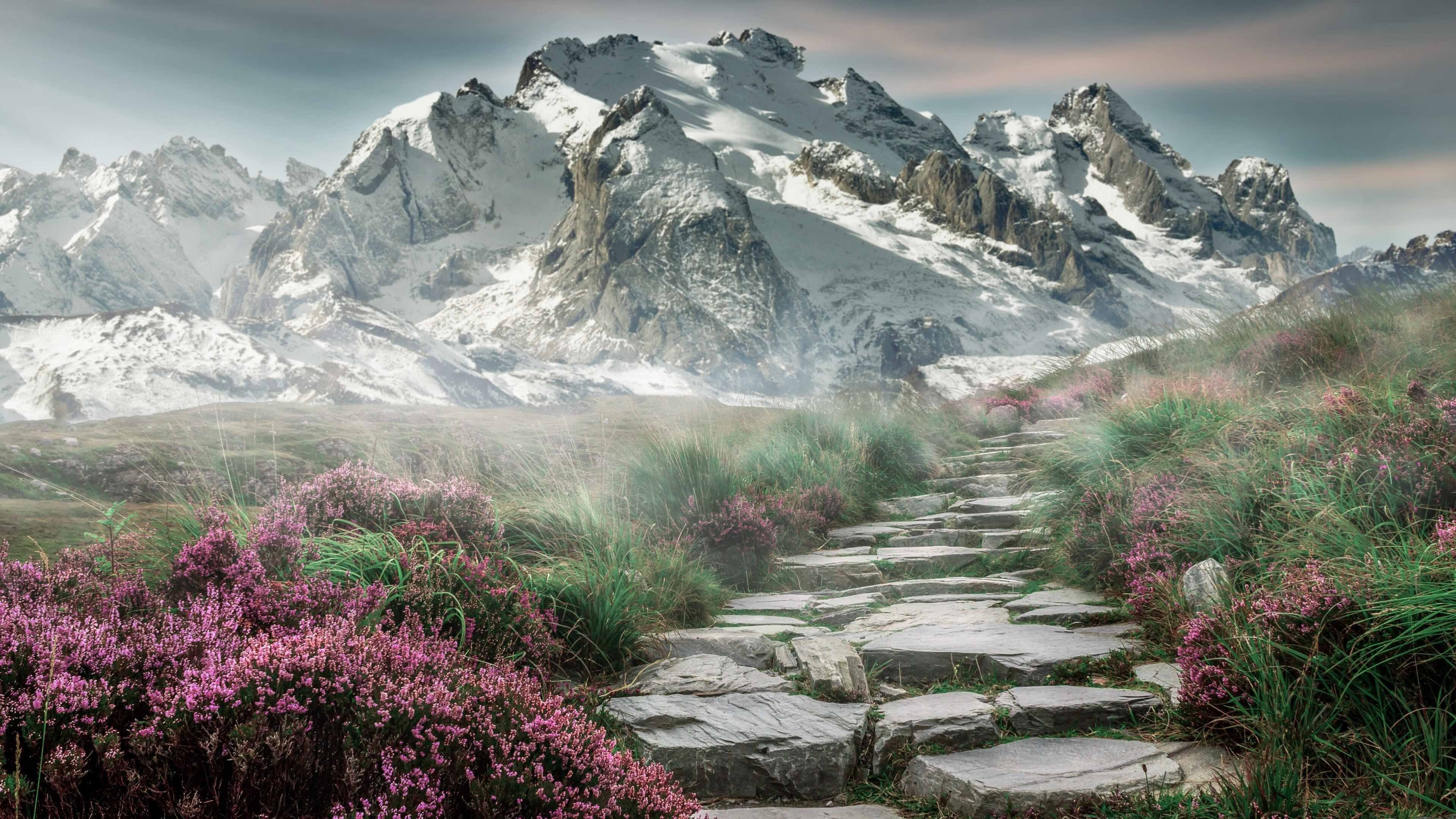 美国队未来发展计划:通过科技与数据分析提高比赛表现,美国队展示