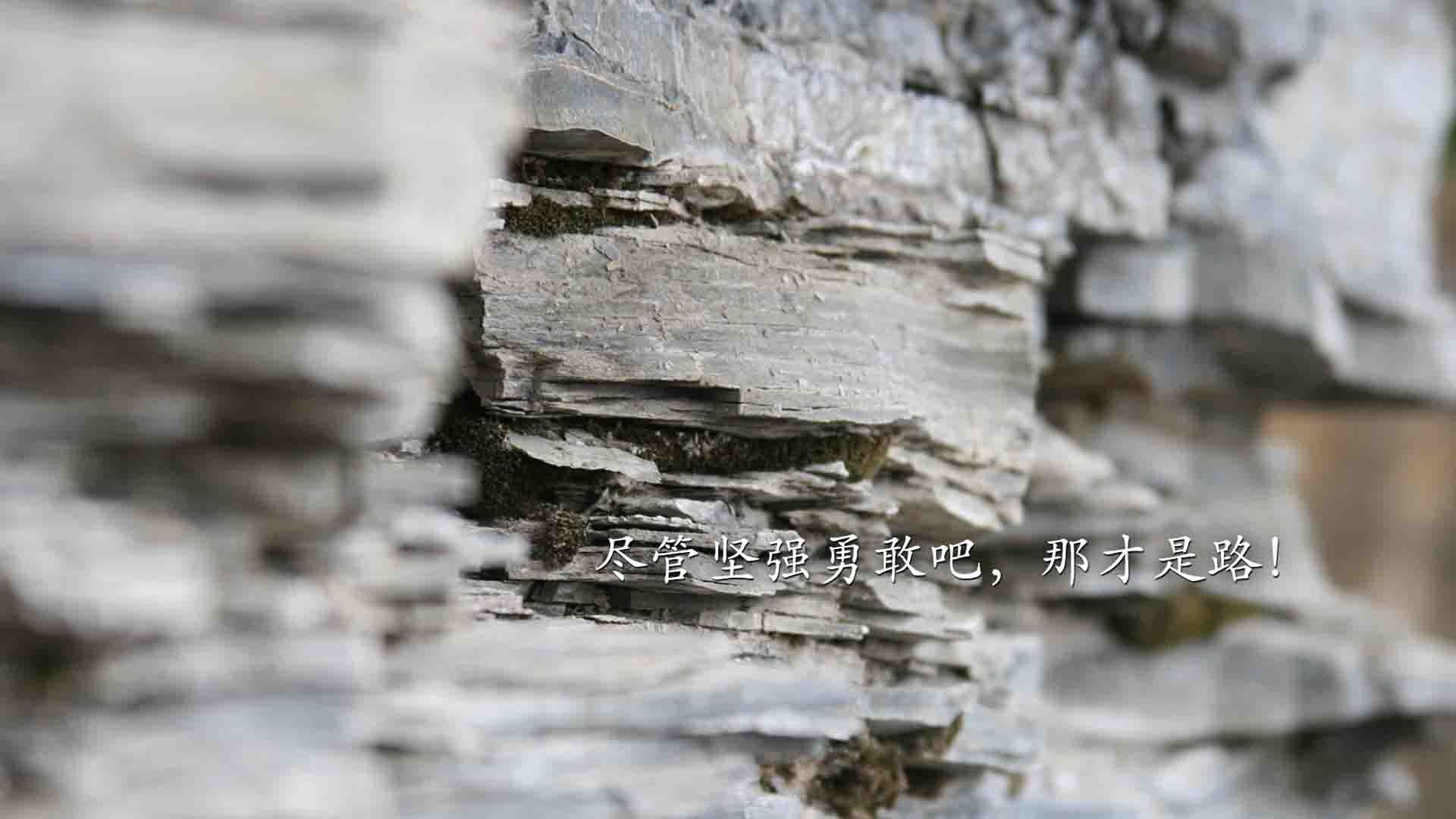 裁判透明机制建设带动赛事公信力提升