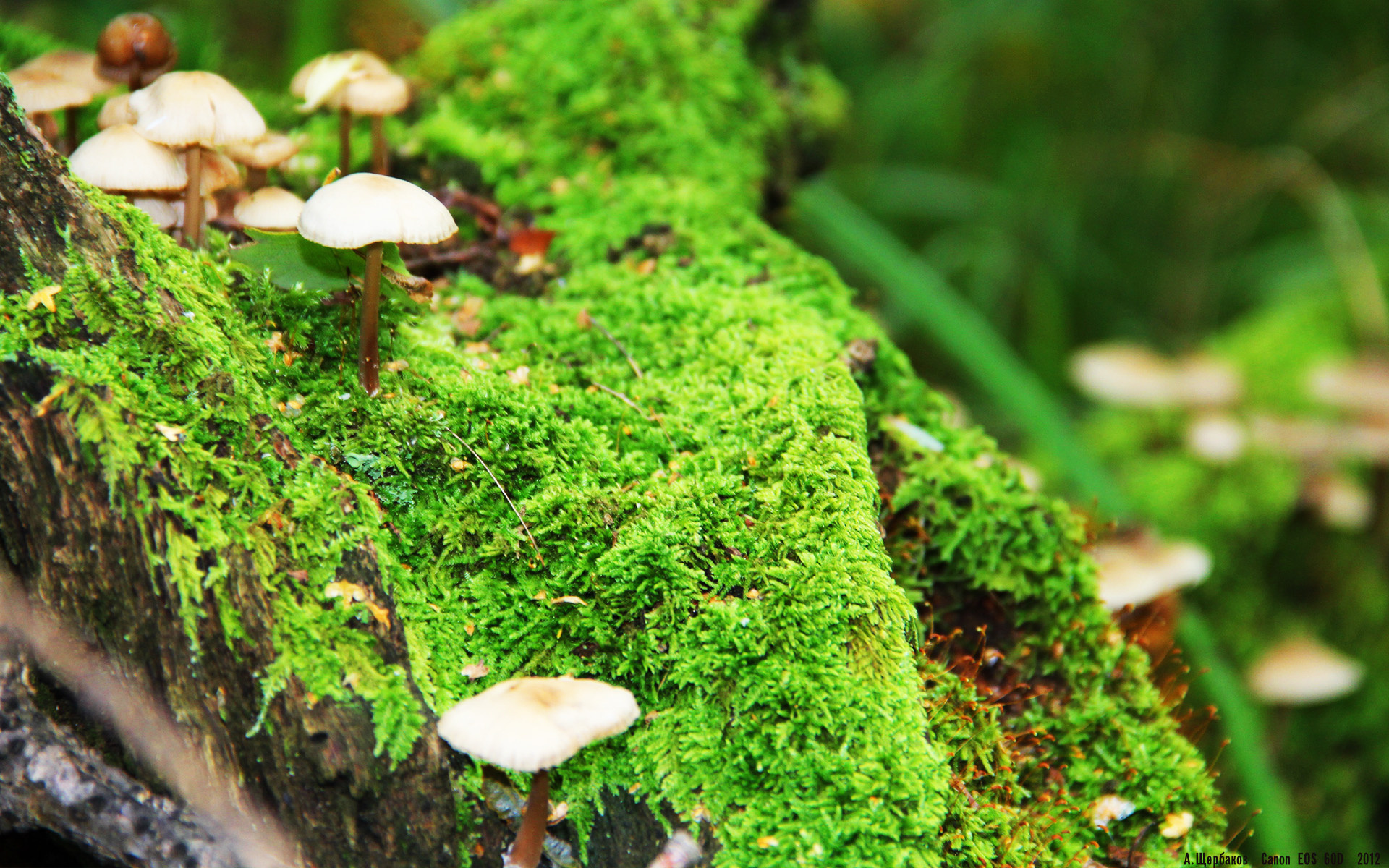 万乐天精准起跳成赛场亮点,万乐游乐