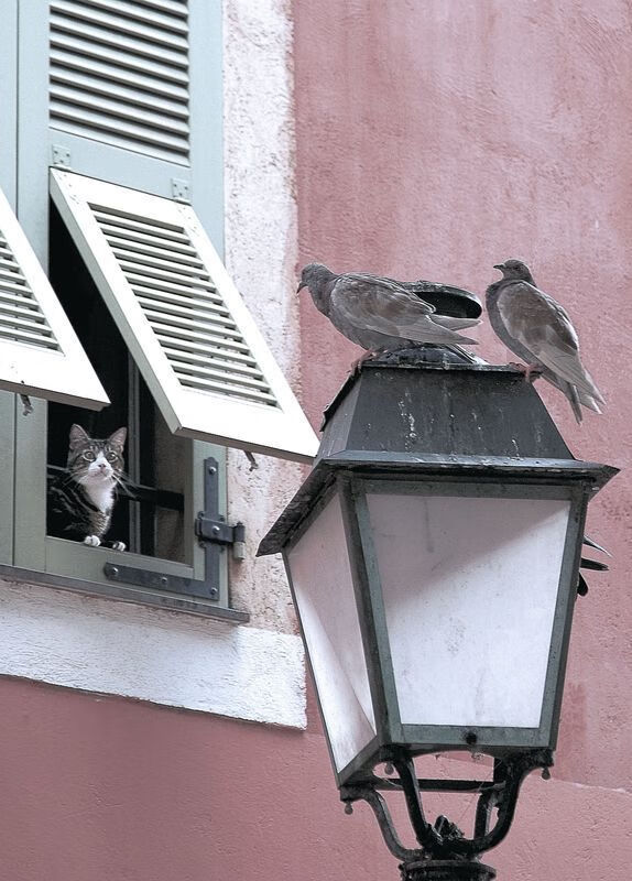 体育场馆智能化管理案例,体育场馆智慧化