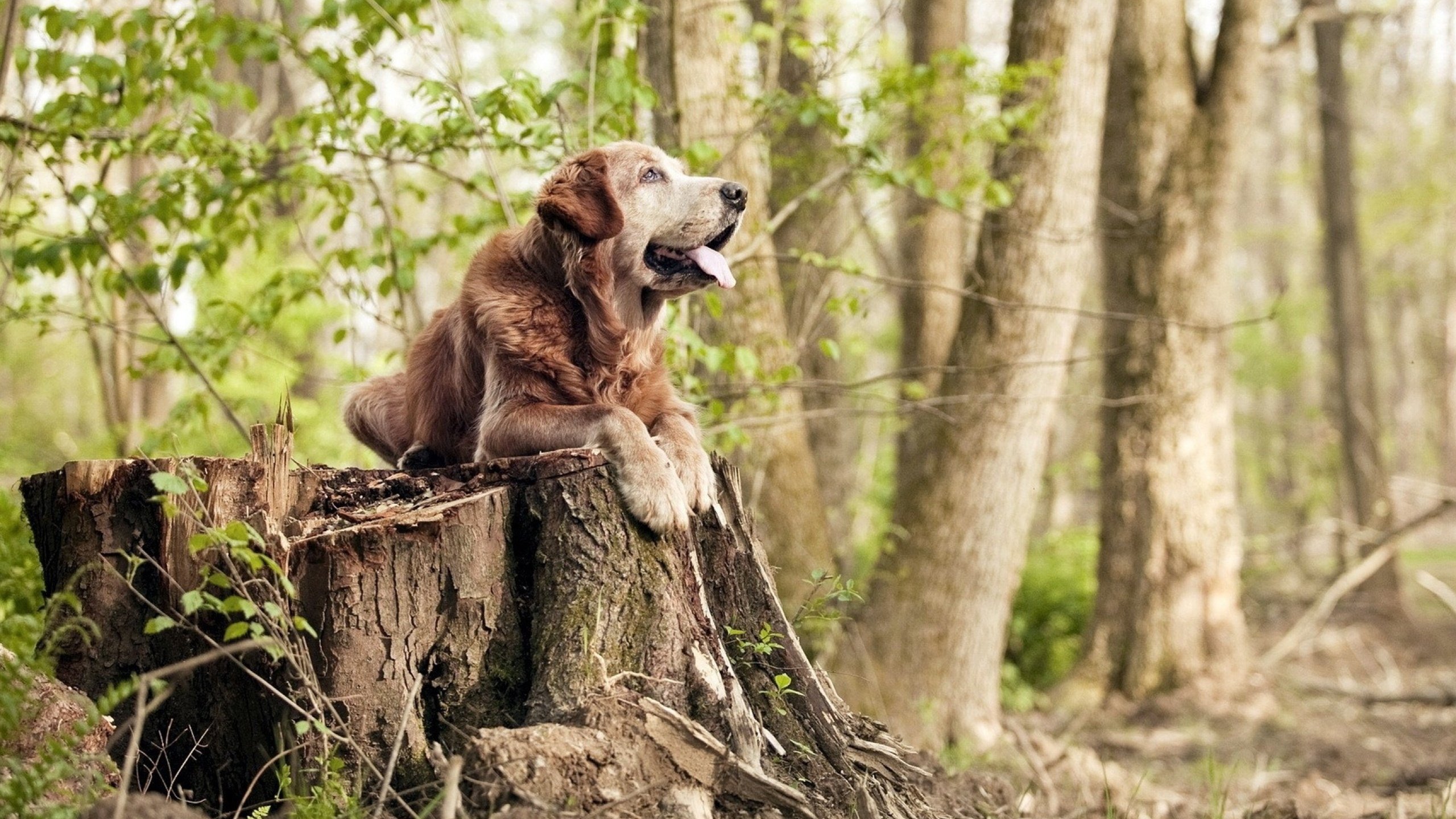 kaiyun网址-职业联赛推动球迷投票参与赛事周最佳评选，职业联赛门票