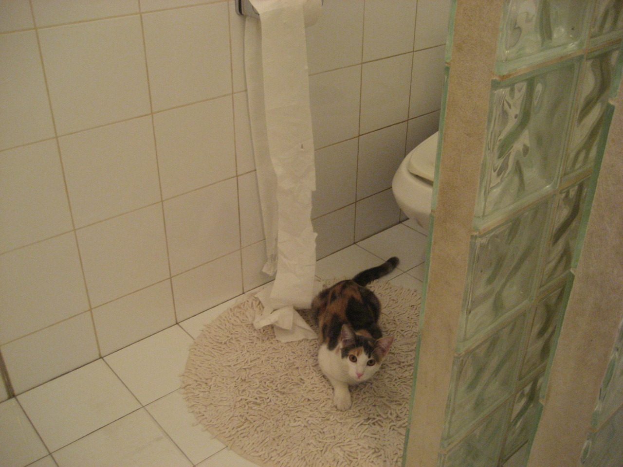 开云体育平台-马克西姆·格鲁塞完美掌控比赛节奏，马克西姆和海格