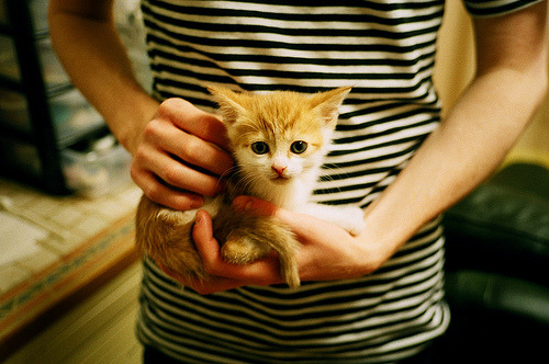 开云体育在线官网-6连胜在手！孔帕尼带队击败世俱杯冠军，32岁神锋梅开二度，孔帕尼告别赛